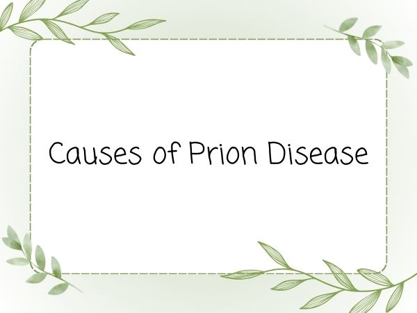 Causes of Prion Disease
