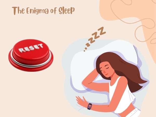The Enigma of Sleep_ The Brain's Reset Button