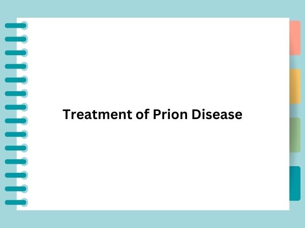 Treatment of Prion Disease