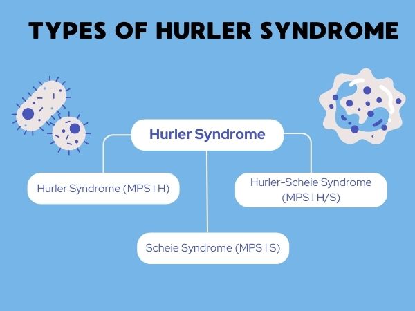 Types of Hurler Syndrome