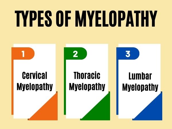 Types of Myelopathy