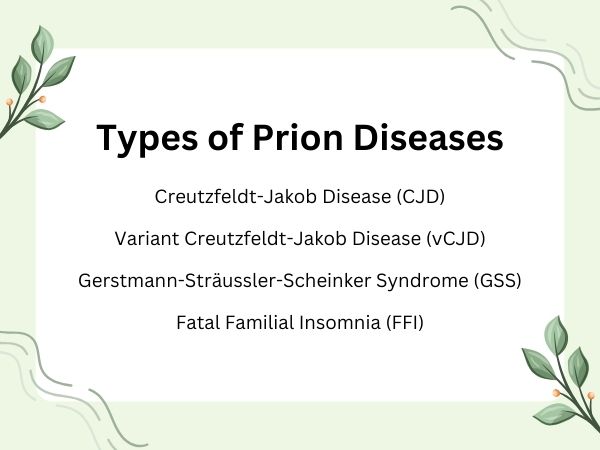 Types of Prion Diseases