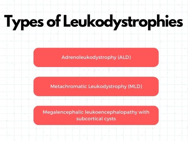 Types of Leukodystrophies
