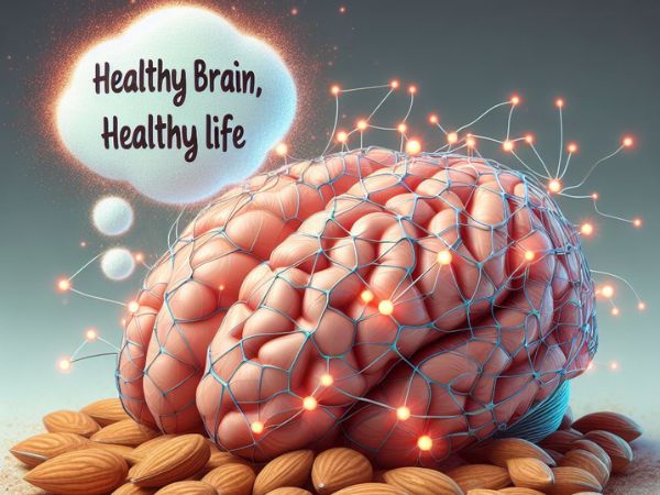 almonds benefits for Brain