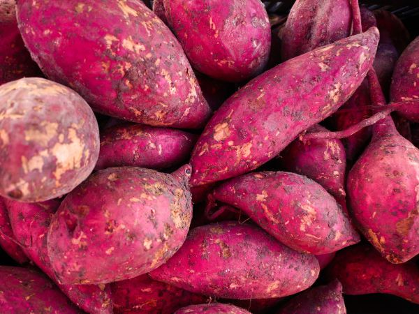 Sweet Potatoes foods for Chemotherapy