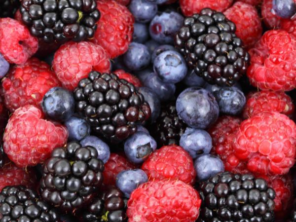 Berries (blueberries, strawberries)