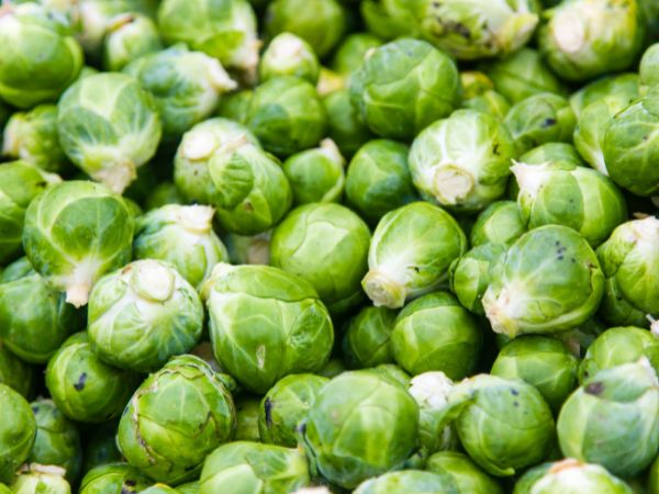 Brussels sprouts