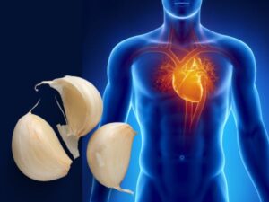How Allicin Helps Manage Cholesterol