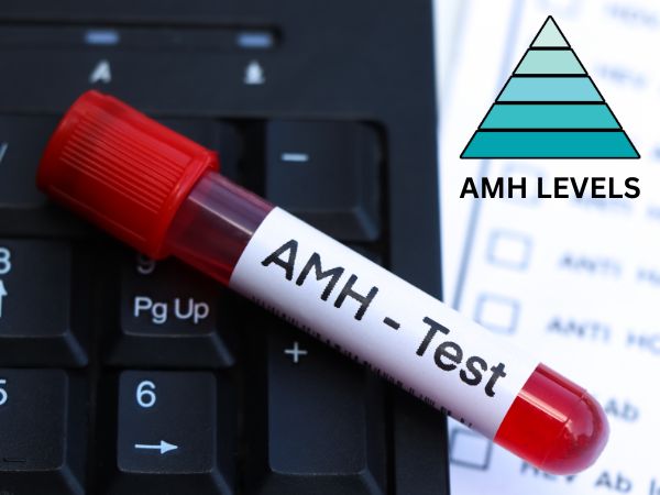 Understanding AMH and its levels