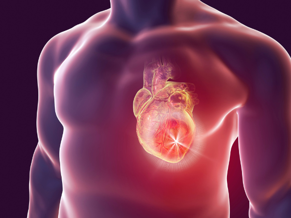 Understanding Early Heart Disease