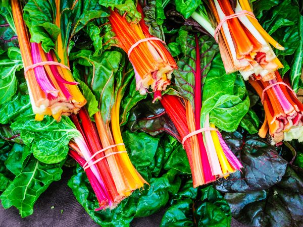 sharix swiss chard