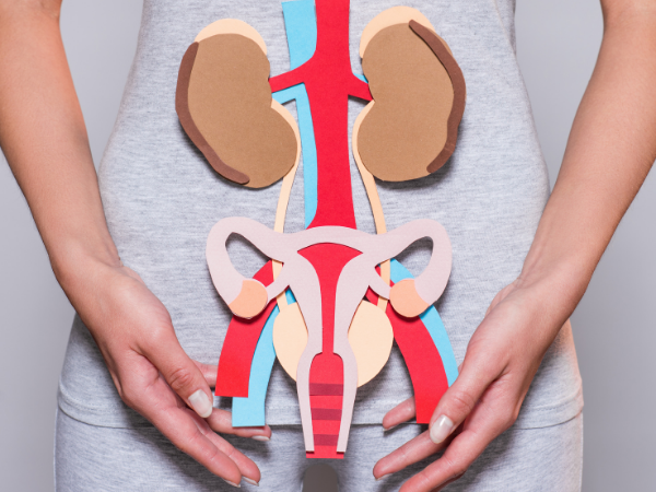 An Introduction to Pelvic Inflammatory Disease