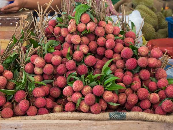 Benefits of litchi for diabetics