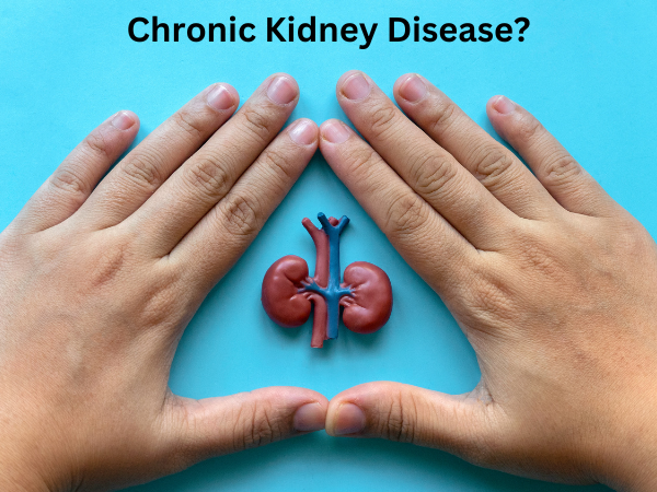 What do you mean by Chronic Kidney Disease