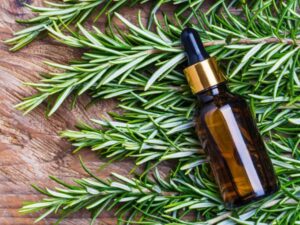 8 Best Rosemary Oils for Hair Growth