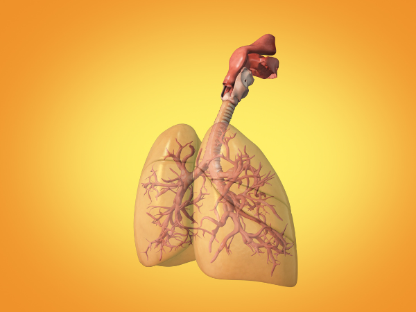 What Are 10 Different Lung Diseases