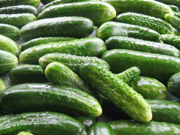 Cucumber_ Cool Down Your Skin