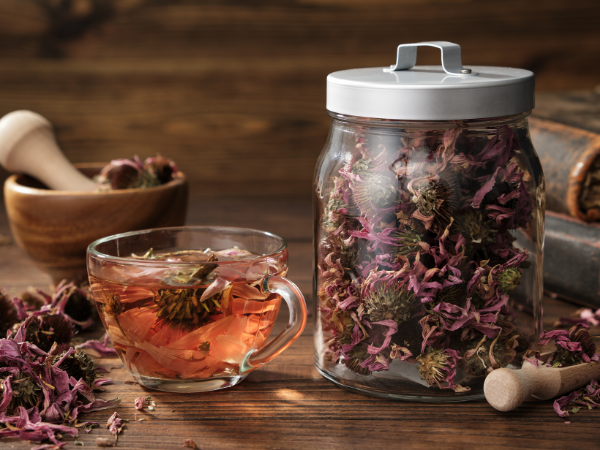 Echinacea Tea_ Immune System Support