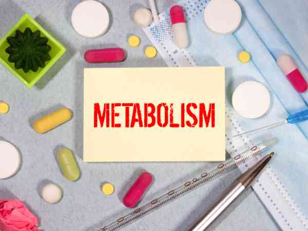 Factors That Affect Metabolism