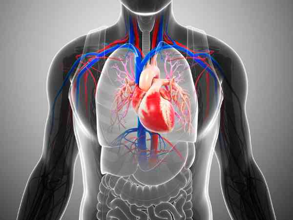 Hard Boiled vs Fried Eggs for Heart Health